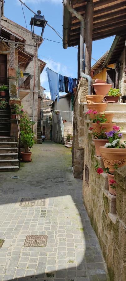 La Chascona Di Farnese Casa Di Tufo Nel Borgo Apartment Exterior photo