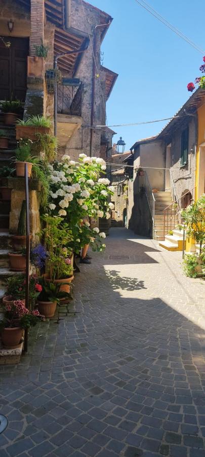La Chascona Di Farnese Casa Di Tufo Nel Borgo Apartment Exterior photo